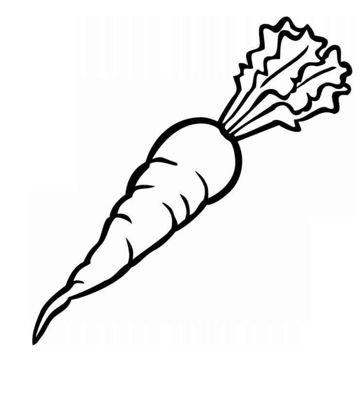 Dibujo de Zanahoria para Colorear