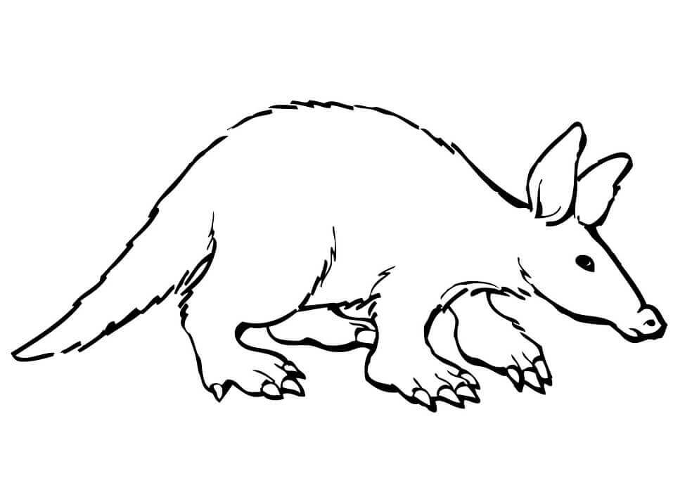Dibujo de Aardvark Simple para Colorear