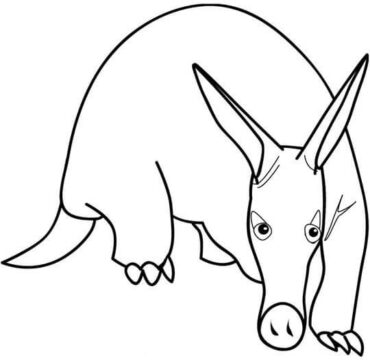 Dibujo de Impresionante Oso Hormiguero para Colorear