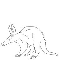 Dibujo de Pequeo Oso Hormiguero para Colorear