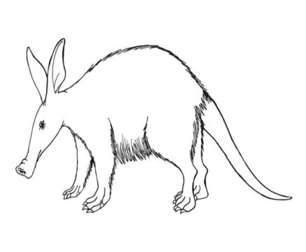 Dibujo de Un Oso Hormiguero para Colorear