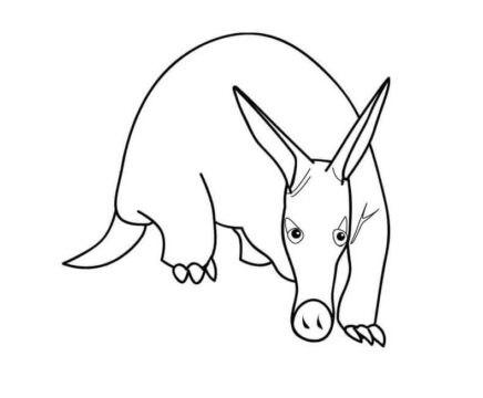 Dibujo de Un Oso Hormiguero Divertido para Colorear
