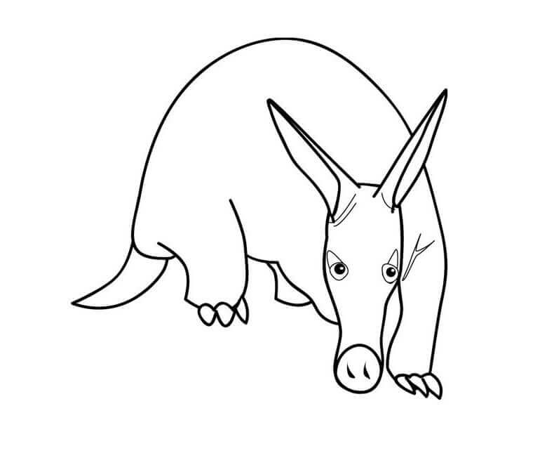 Dibujo de Un Oso Hormiguero Divertido para Colorear