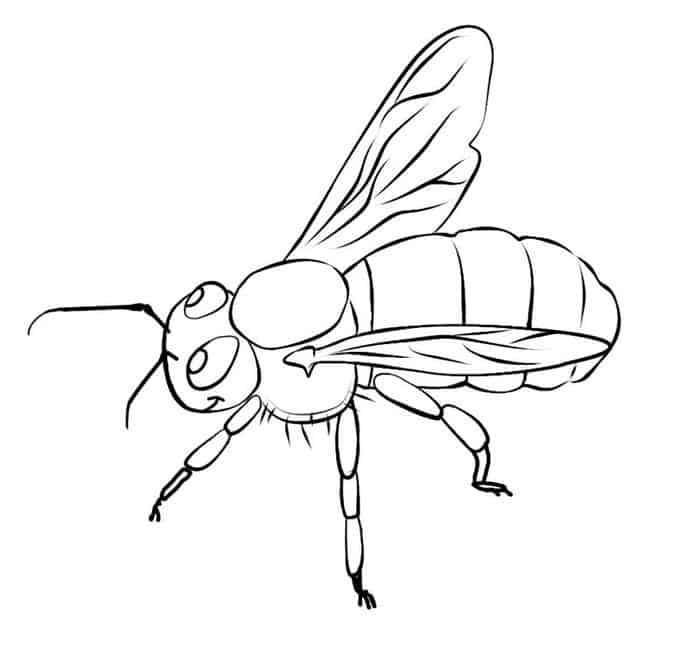 Dibujo de Abeja Imprimible para Colorear