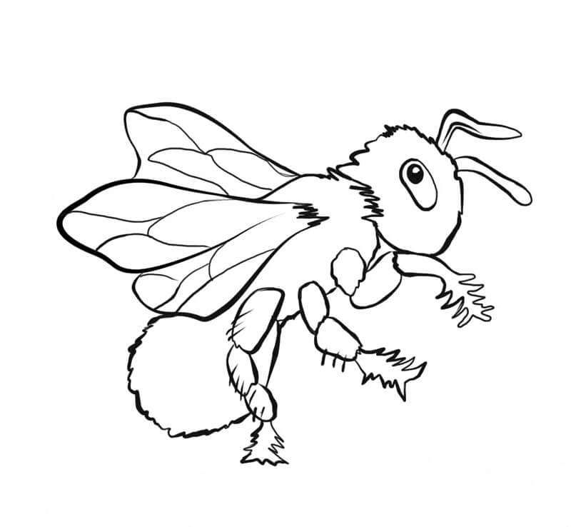 Dibujo de Abeja Increible para Colorear