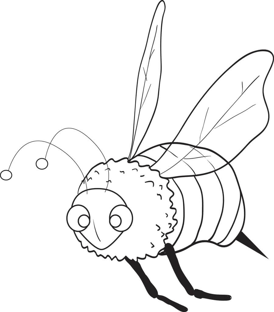 Dibujo de Abeja Perfecta para Colorear