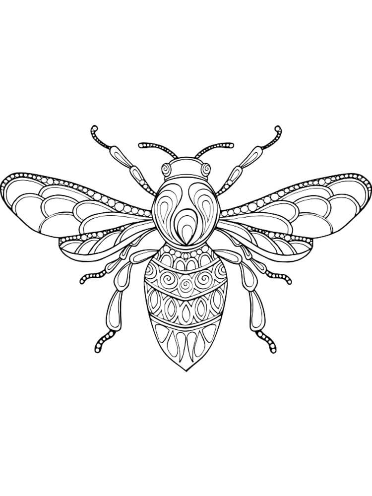 Dibujo de Bee Es para Adultos para Colorear