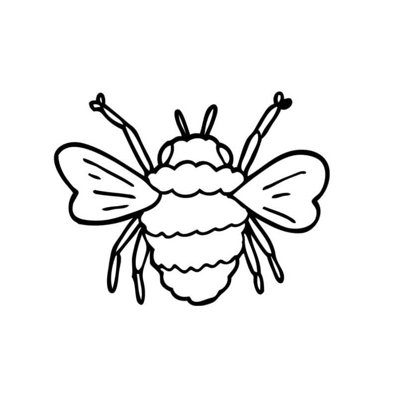 Dibujo de Gran Abeja para Colorear