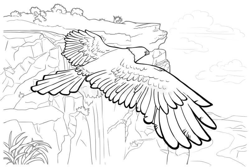 Dibujo de Águila con Hermoso Paisaje para Colorear