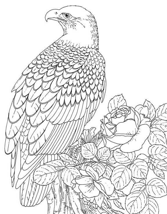 Dibujo de Águila con Rosa y Hojas para Colorear