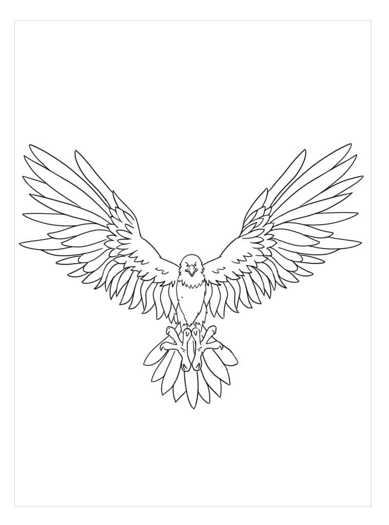 Dibujo de Águila Impresionante para Colorear