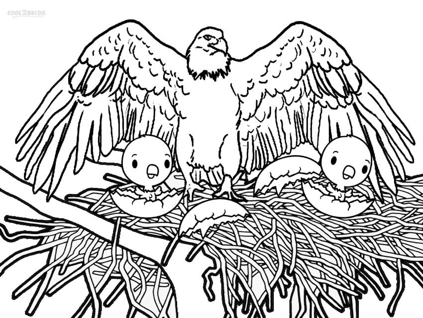 Dibujo de Águila Madre y Dos Crias de águila para Colorear