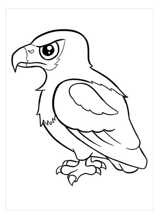 Dibujo de Águila Pescadora Africana para Colorear