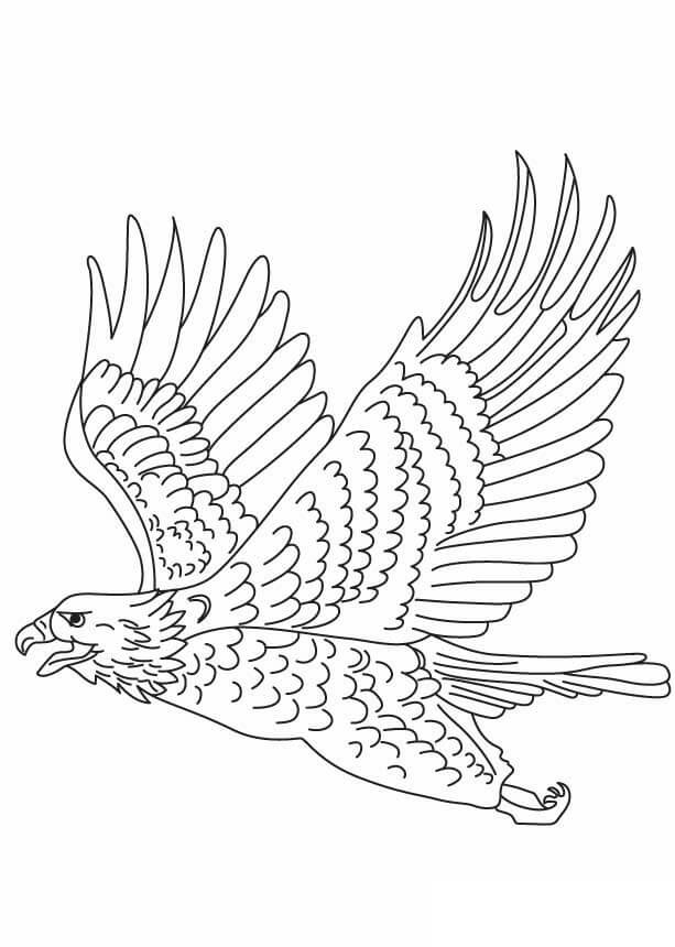 Dibujo de Bonito águila Volando para Colorear