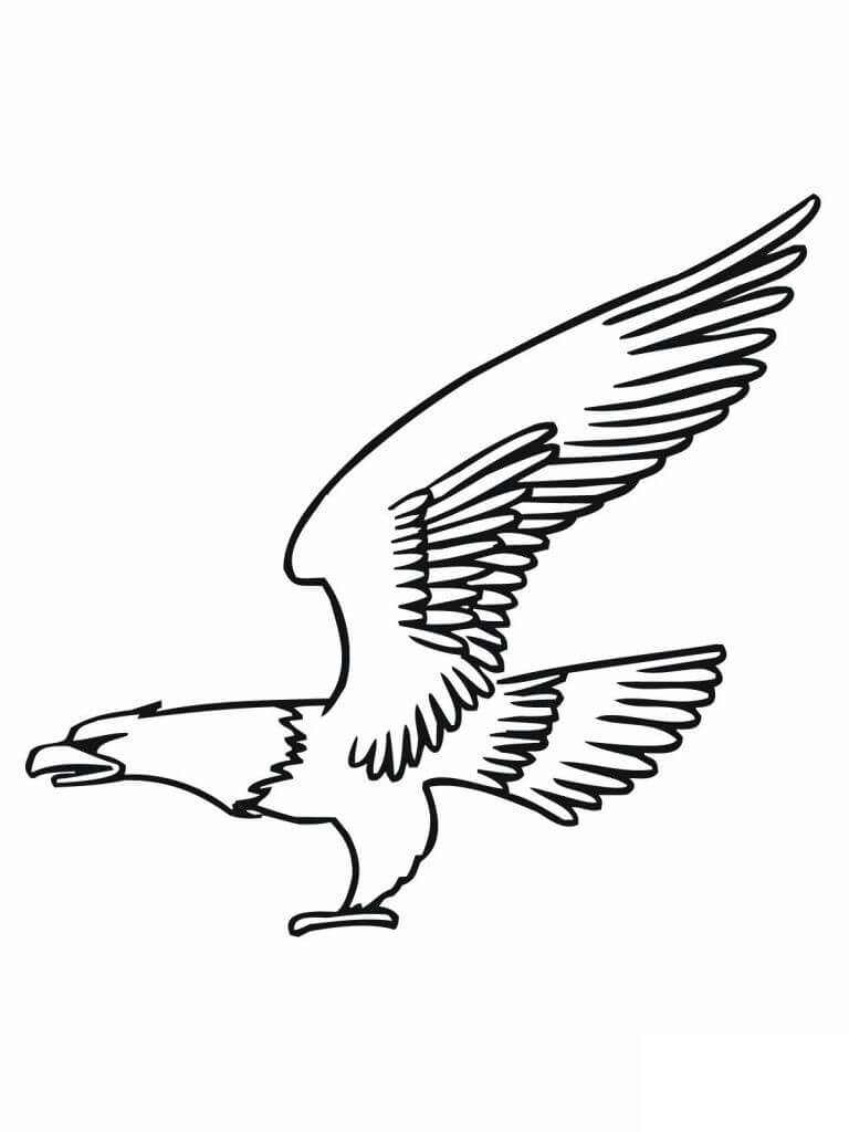Dibujo de Buen águila para Colorear