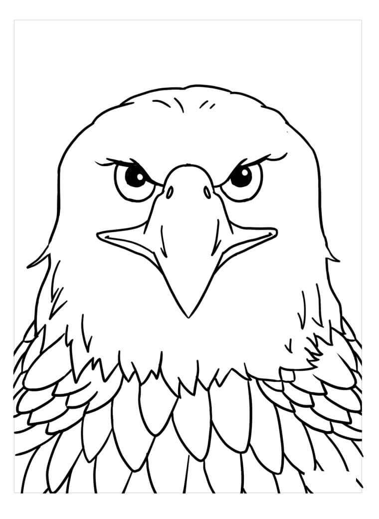 Dibujo de Cara de águila para Colorear