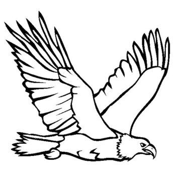 Dibujo de Águila para Colorear