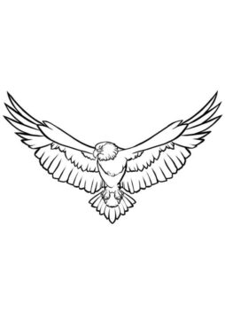 Dibujo de Gran águila para Colorear