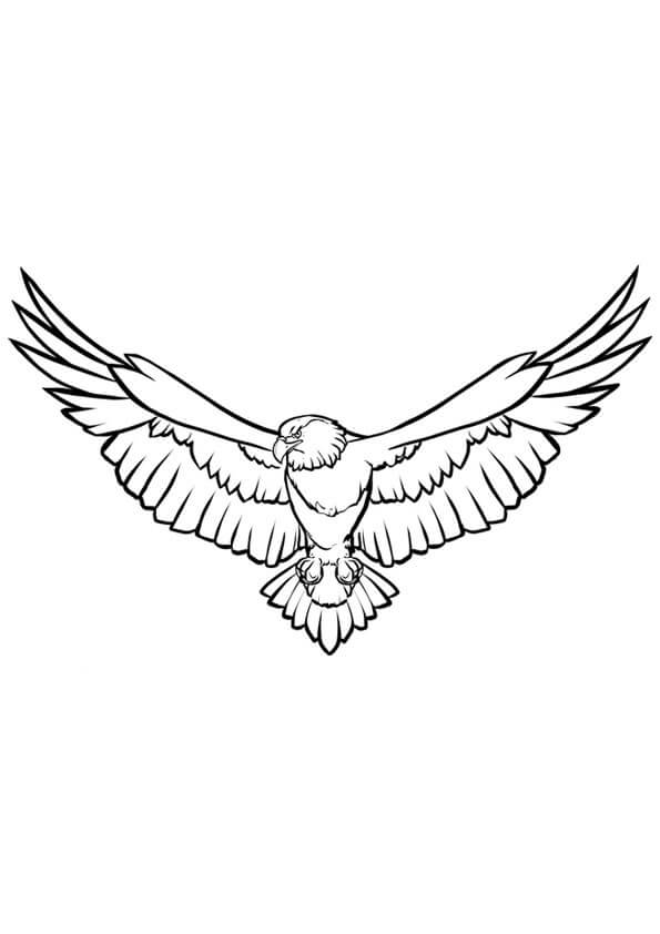 Dibujo de Gran águila para Colorear