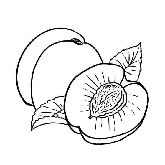 Dibujo de Aceite de Semilla de Albaricoque para Colorear