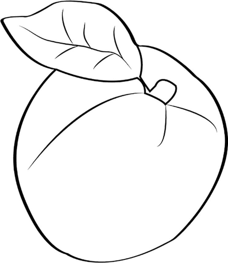 Dibujo de Albaricoque Normal para Colorear