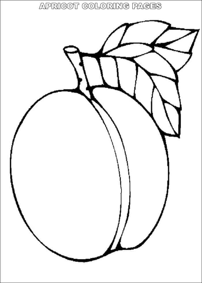 Dibujo de Albaricoque Simple para Colorear