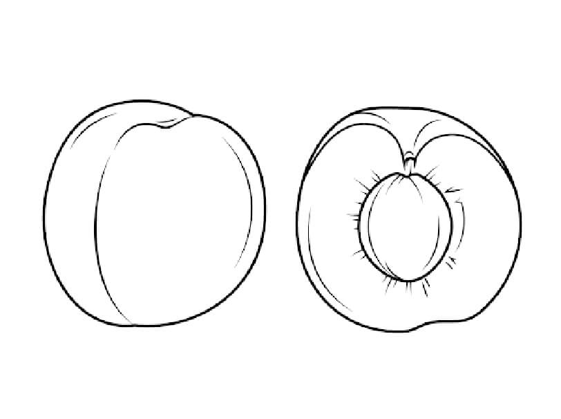 Dibujo de Bonito Albaricoque para Colorear