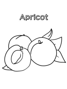Dibujo de Gran Albaricoque para Colorear