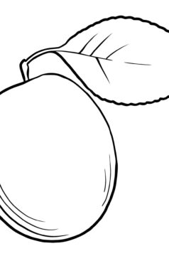 Dibujo de Lindo Albaricoque para Colorear