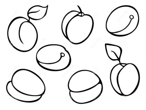 Dibujo de Siete Albaricoque para Colorear