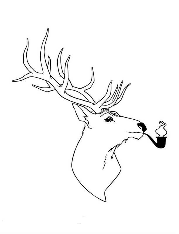 Dibujo de Alce Fumar para Colorear