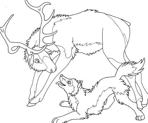 Dibujo de Alce y Lobo para Colorear