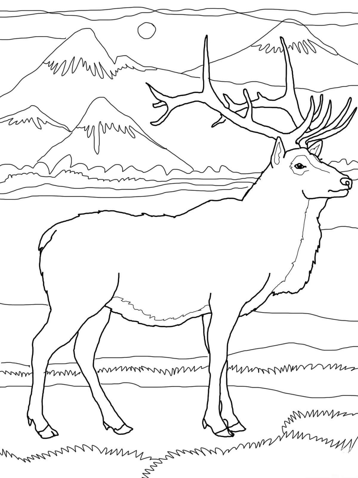 Dibujo de Alces y Hermoso Paisaje para Colorear
