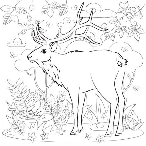 Dibujo de Bonito Alce para Colorear