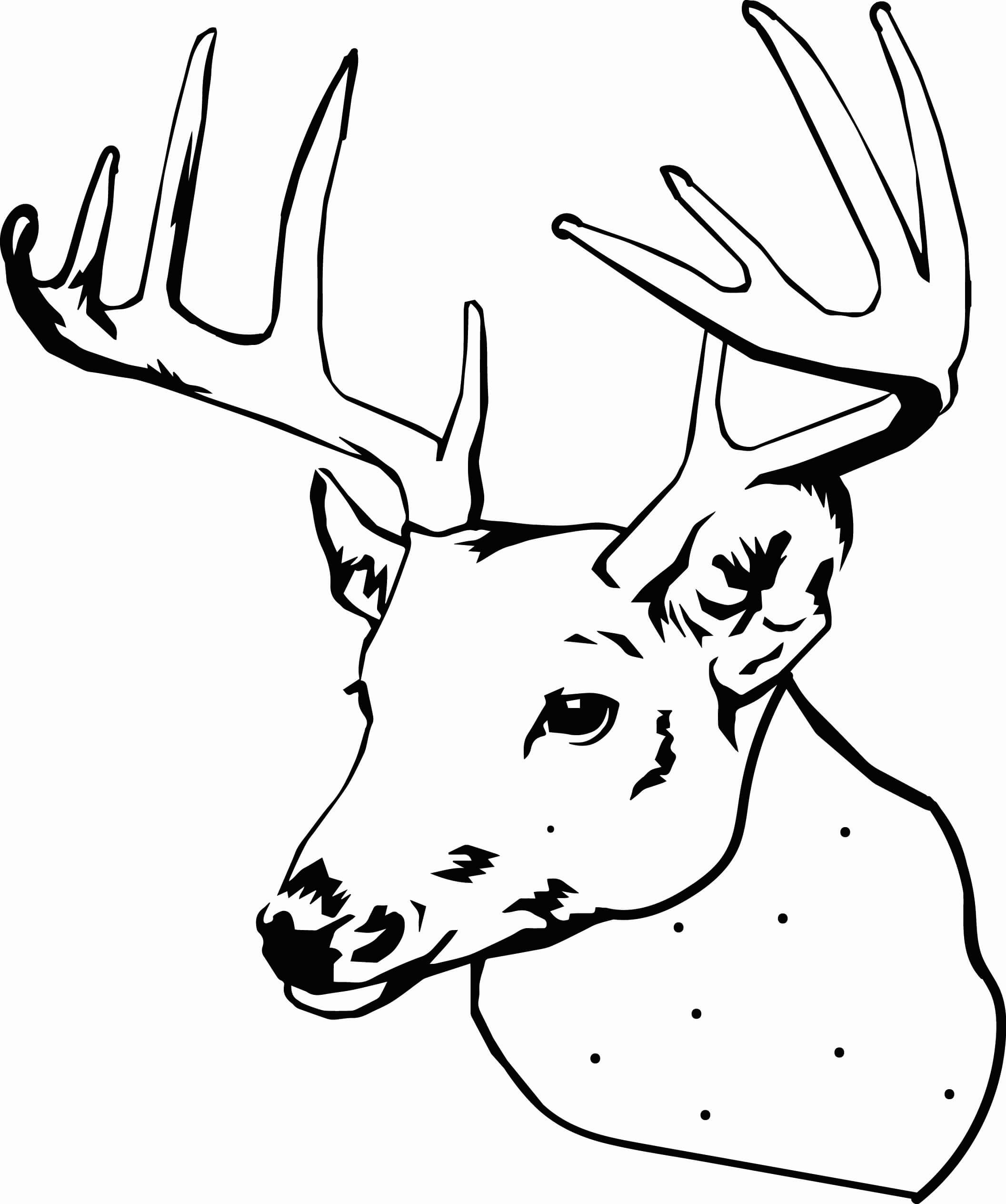 Dibujo de Cabeza de Alce para Colorear