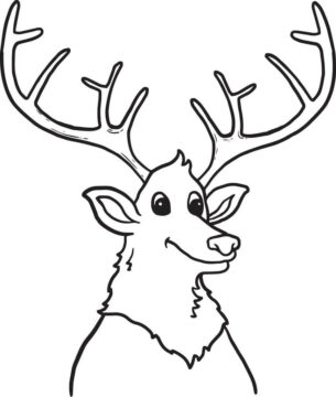 Dibujo de Cara Alce Sonriente para Colorear