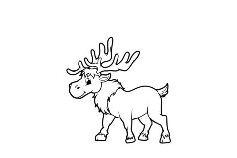 Dibujo de Pequeo Alce para Colorear