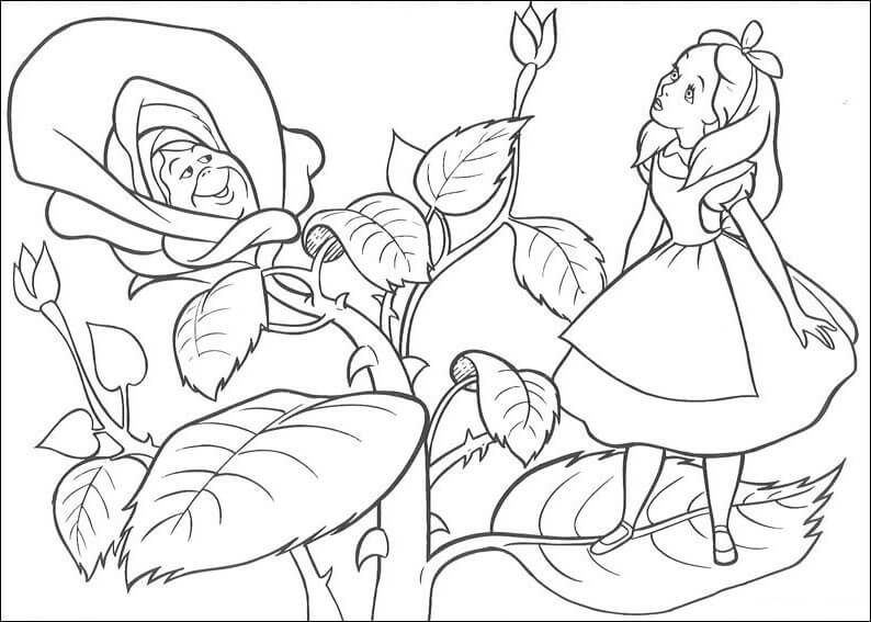 Dibujo de Alice de Pie en la Hoja para Colorear