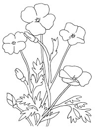 Dibujo de Amapola 4 para Colorear