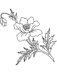 Dibujo de Amapola 7 para Colorear