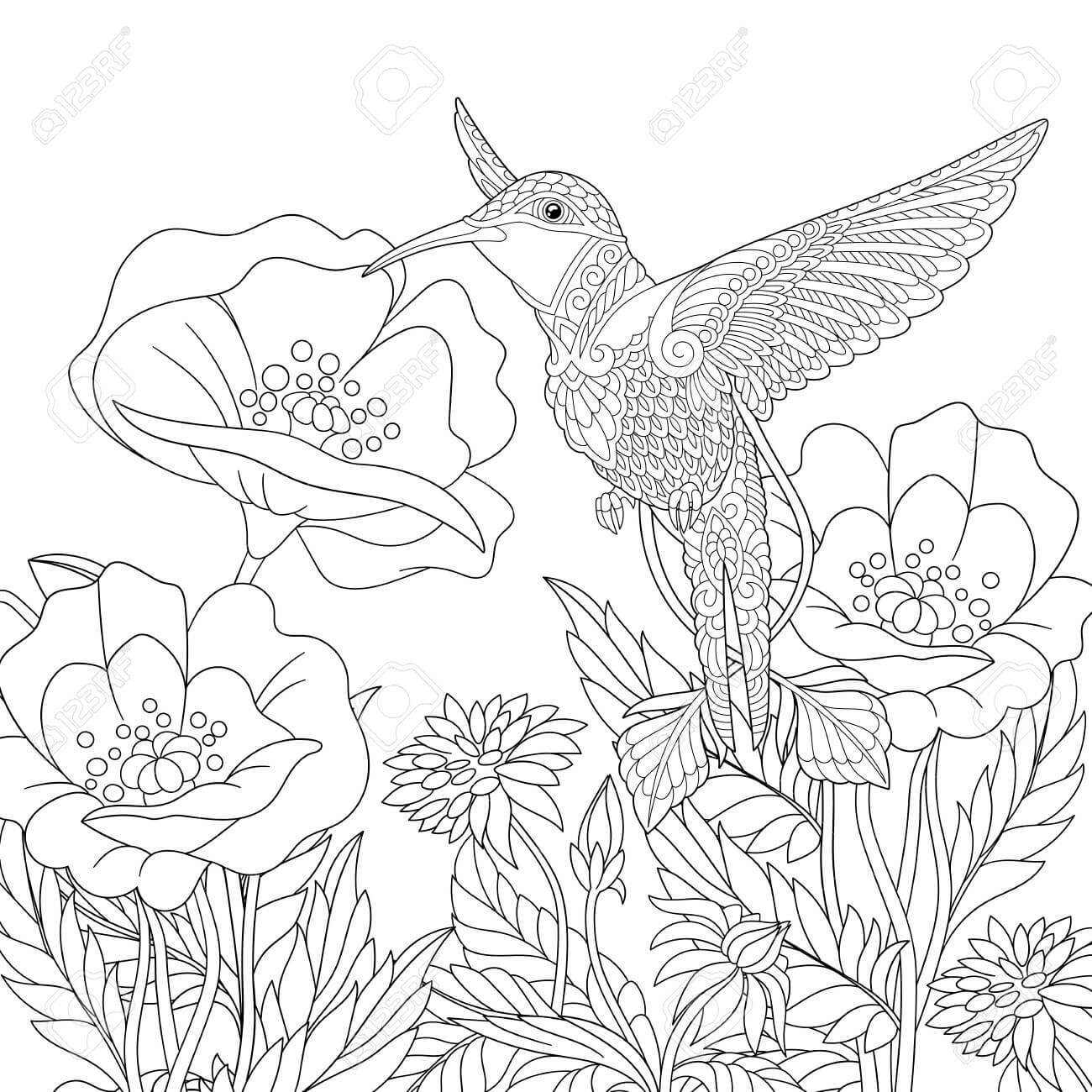 Dibujo de Amapola y Pjaro para Colorear