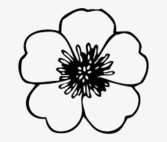 Dibujo de Flor de Amapola para Colorear
