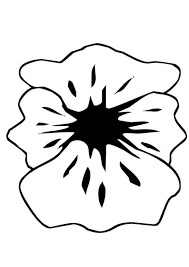 Dibujo de Ptalos de Amapola para Colorear