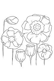 Dibujo de Seis Amapolas para Colorear