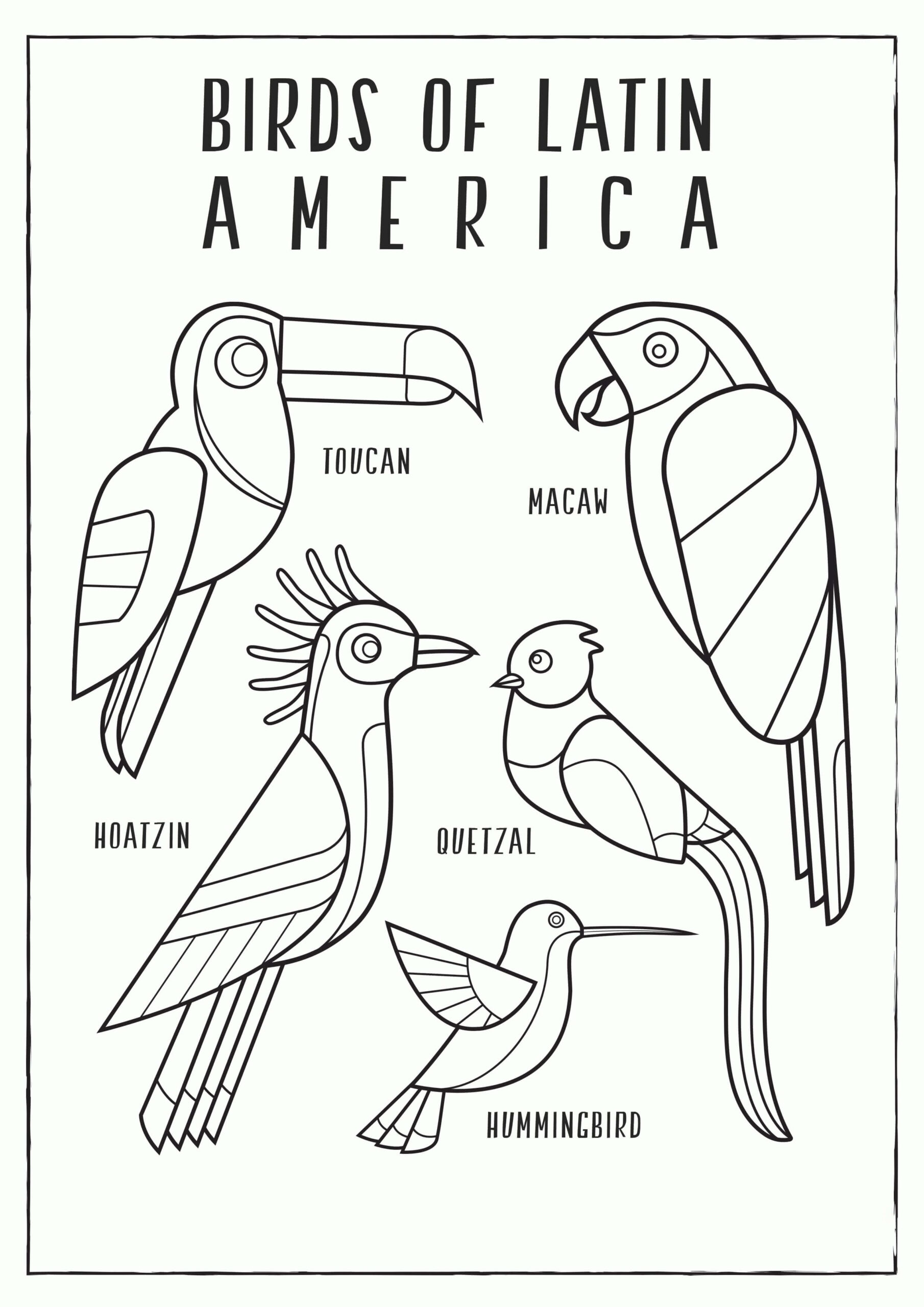 Dibujo de Aves de Latinoamerica Scaled para Colorear