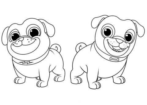Dibujo de Bingo y Rolly para Colorear