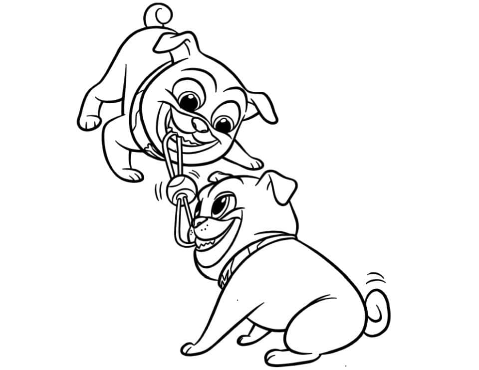 Dibujo de Bingo y Rolly Divertido para Colorear