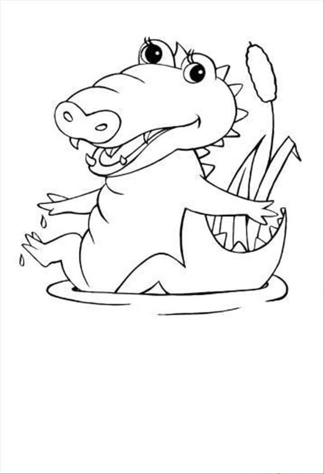 Dibujo de Cocodrilo Beb Divertido para Colorear