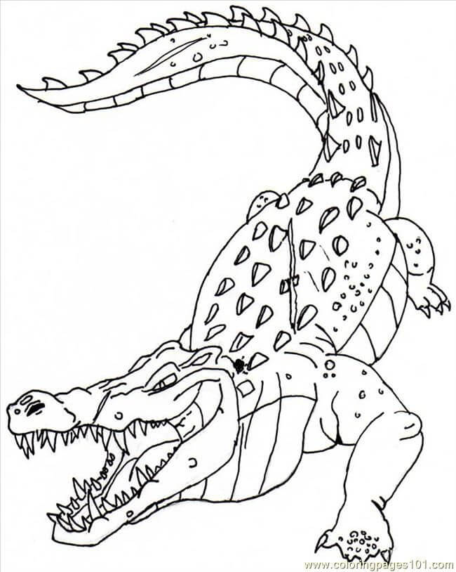 Dibujo de Cocodrilo Enojado 1 para Colorear