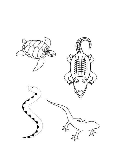 Dibujo de Cuatro Anfibios para Colorear